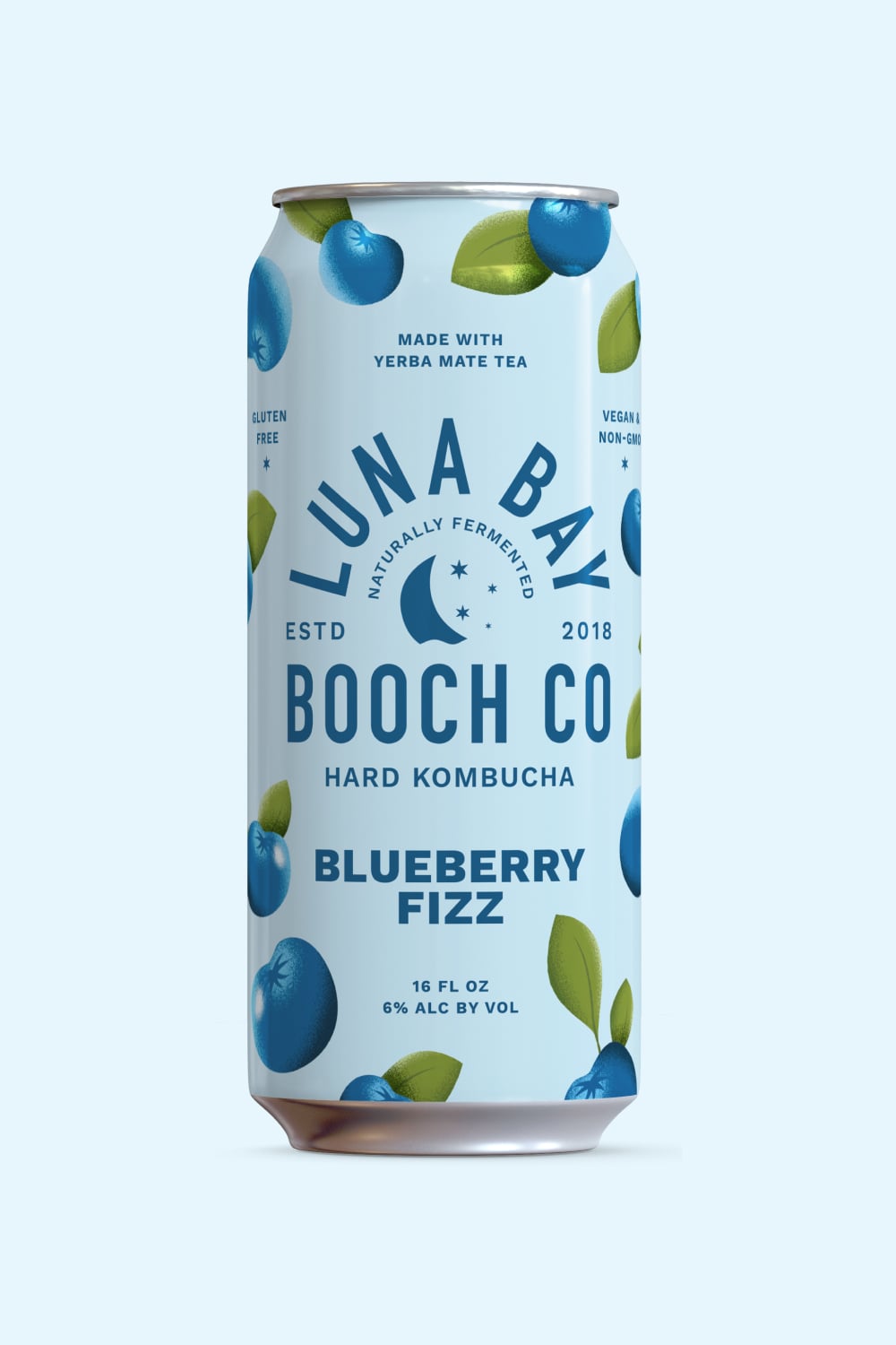 Blueberry Fizz 16 oz